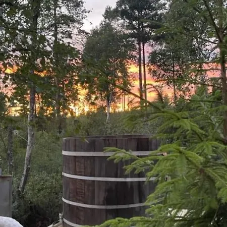 Moderne Ved Sjoen Med Badstue Holiday home Romskog