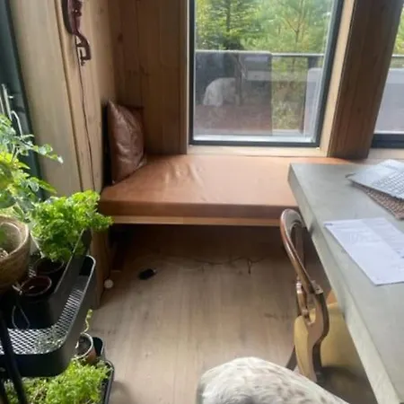 Moderne Ved Sjoen Med Badstue