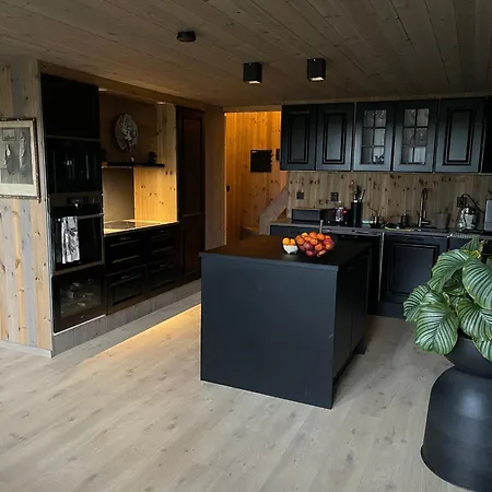 Moderne Ved Sjoen Med Badstue Holiday home *