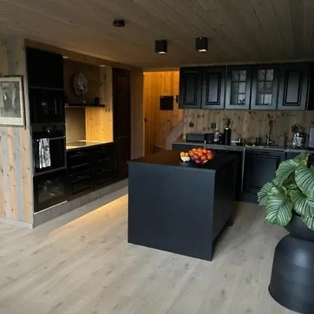 Ferienhaus Moderne Ved Sjoen Med Badstue Romskog
