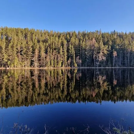 Moderne Ved Sjoen Med Badstue Romskog