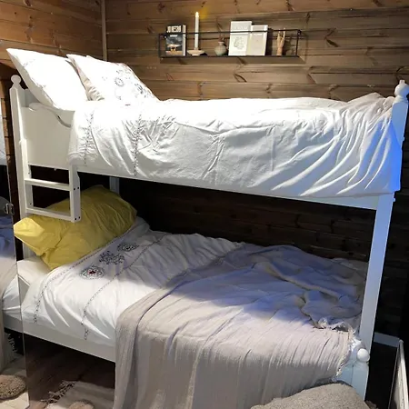 Moderne Ved Sjoen Med Badstue Ferienhaus *