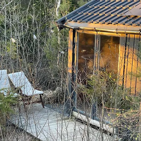Ferienhaus Moderne Ved Sjoen Med Badstue