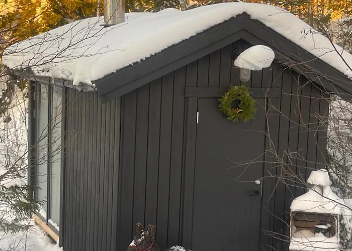 Moderne Ved Sjoen Med Badstue * Romskog