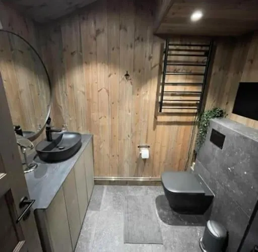 Moderne Ved Sjoen Med Badstue Romskog