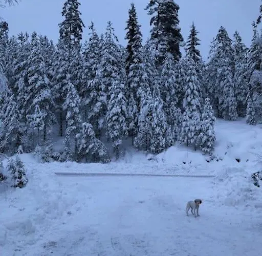 Prázdninový dům Moderne Ved Sjoen Med Badstue