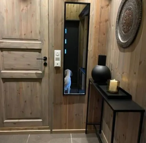 Prázdninový dům Moderne Ved Sjoen Med Badstue Romskog